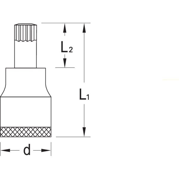 Screwdriver Bit Socket, 1/2
