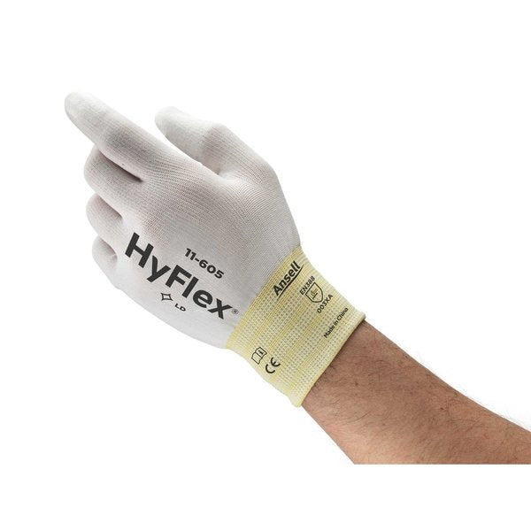 Disposable Gloves, 8, 144 PK