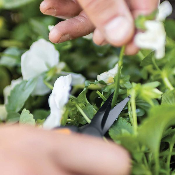 Fiskars Non-stick Micro-Tip Pruning Snip