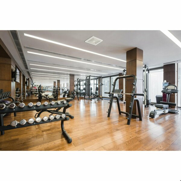 Commercial Fan, 120V AC, White Grille