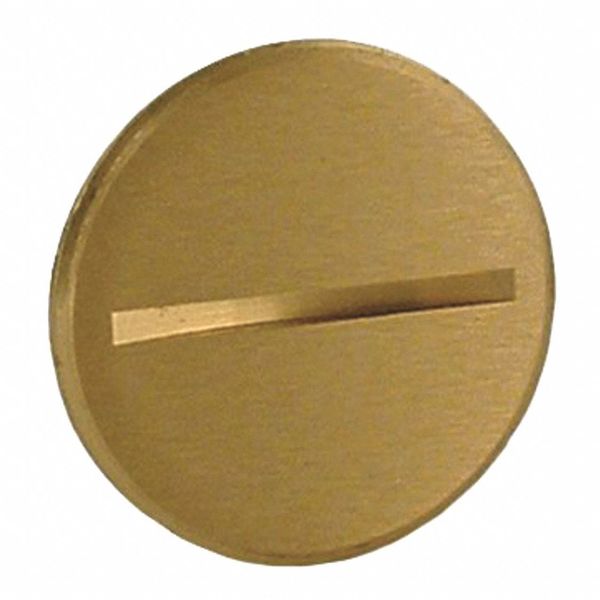 Flush Plug, 2-1/8
