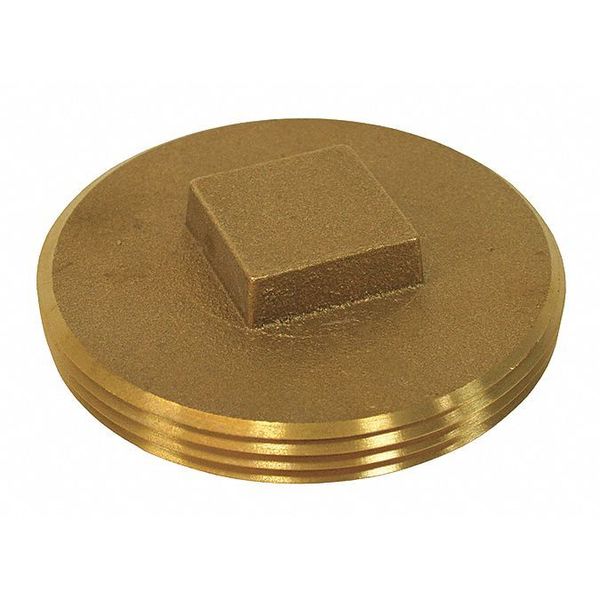 Brass, Raised Head, Plug