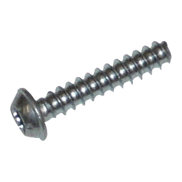 Screw, Button Head Torx M4.0 x 20 mm White 55196, 1/pk