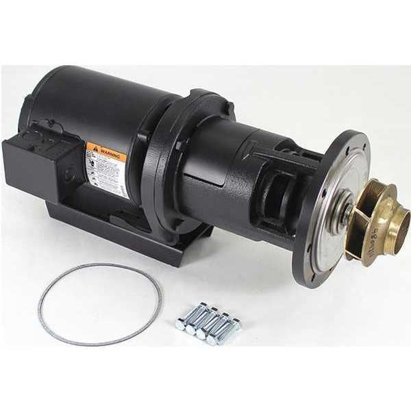 Pump and Motor, 1/3 HP