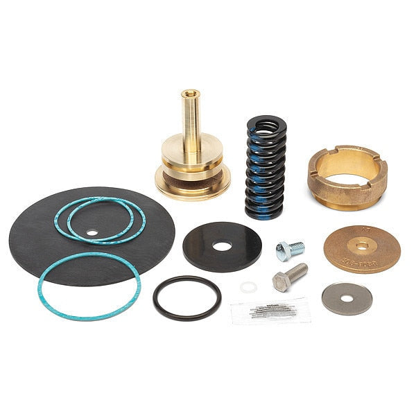 Repair Kit, Reduce Valve, 3 In