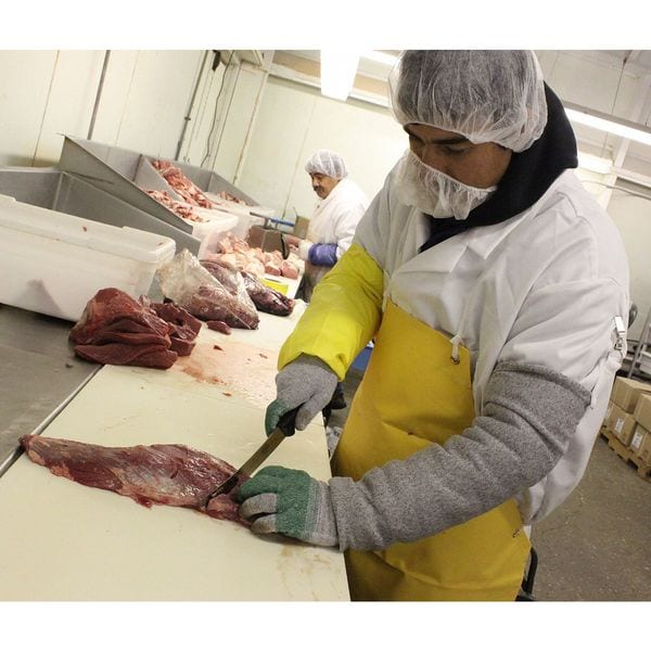 Cut Resistant Gloves, A4 Cut Level, Uncoated, 2XL, 1 PR