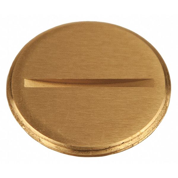 Flush Replacement Plug, 1-1/2