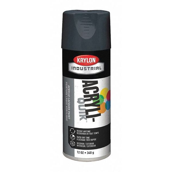 Spray Paint, Shadow Gray, Gloss, 12 oz