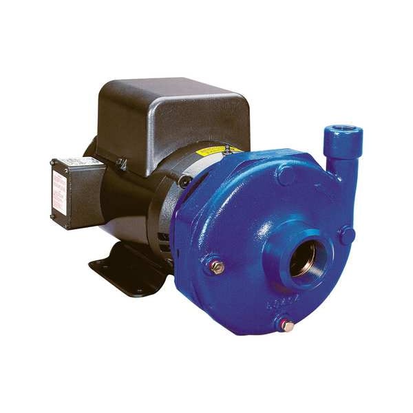 Straight Centrifugal Pump