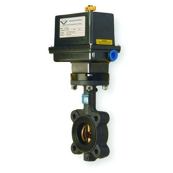 Butterfly Valve, Electric, Size 3 In