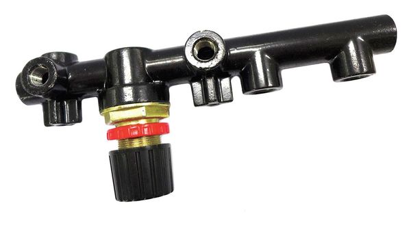 Regulator With Manifold