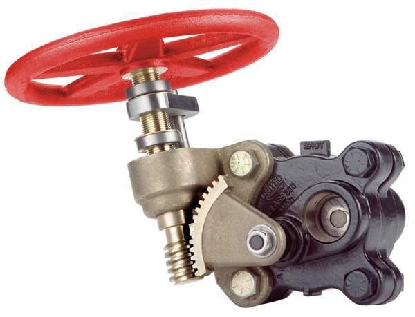 Gate Valve, 1 In., FNPT, Carbon Steel
