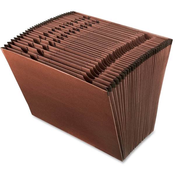 Expandable File (1-31), 8-1/2 x 11