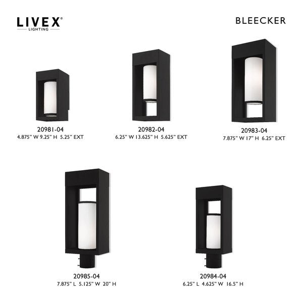 Bleecker 1 Light Black Outdoor Wall Lantern