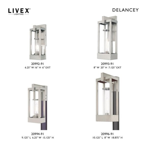 Delancey 1 Light Brushed Nickel Outdoor Wall Lantern
