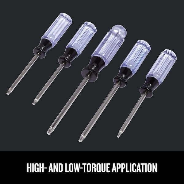 Screwdriver Set, Torx Tip, 5 pcs.
