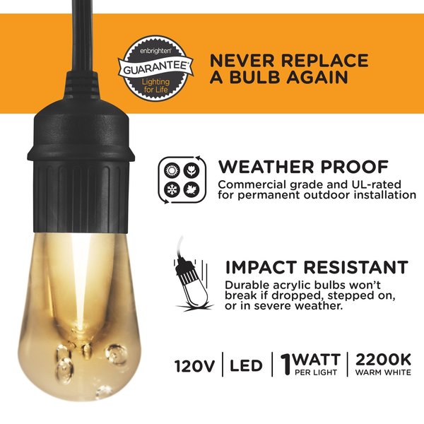 Cafe Lights, 48 ft., 24 Bulb