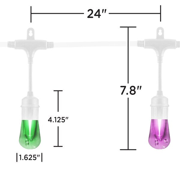 Seasons Cafe Lights, 24 ft., 12 Bulbs