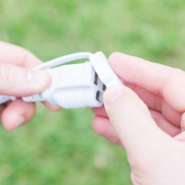 Seasons Cafe Lights, 24 ft., 12 Bulbs