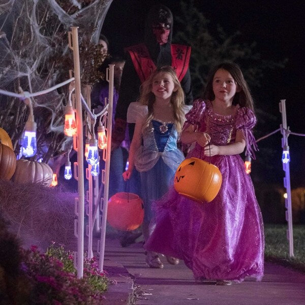 Seasons Cafe Lights, 24 ft., 12 Bulbs