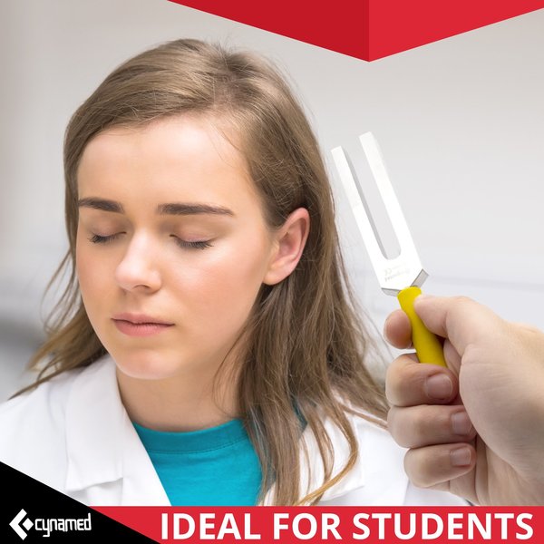 Color-Coded Tuning Fork With Hammer Soun