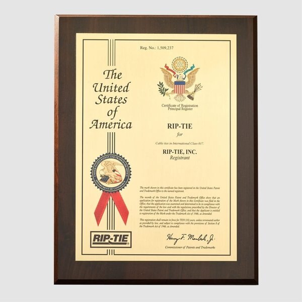 Back-to-Back Strap, No Adhesive, 7 in, 3/4 in Wd, Black, 20 PK