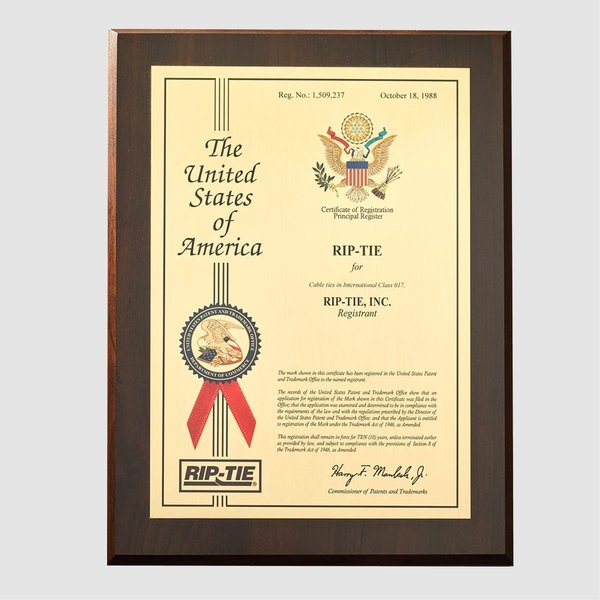 Back-to-Back Strap, No Adhesive, 11 in, 3/4 in Wd, Black, 5 PK