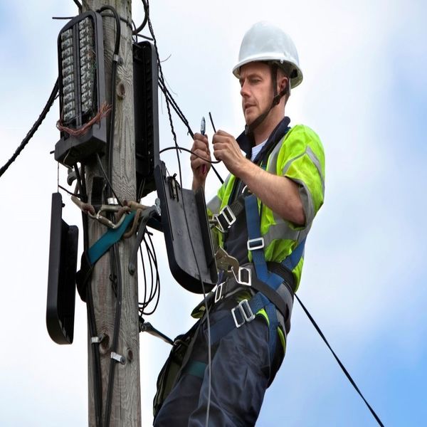 Diagonal Cutting Pliers, Bell System, Skinning Holes, 6-Inch