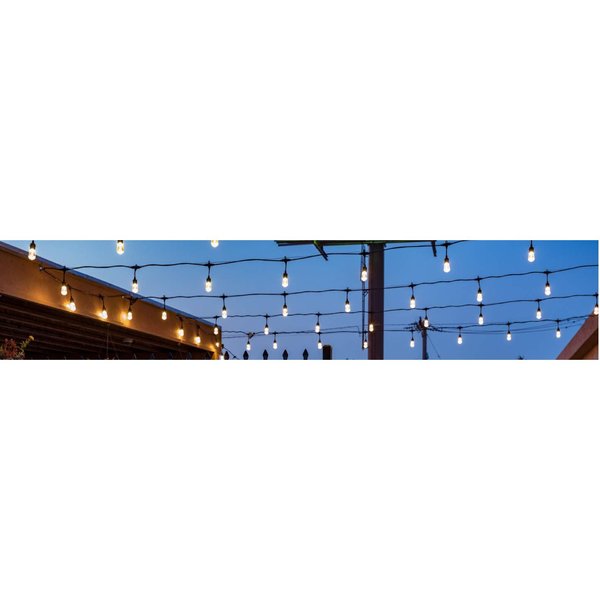 Cafe Lights, 48 ft., 24 Bulb