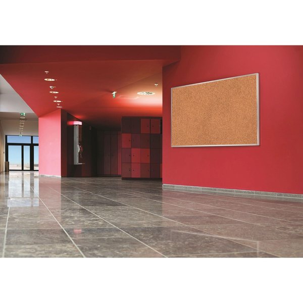 Cork Bulletin Board 48