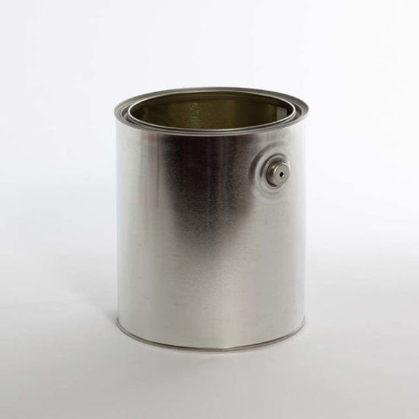 Lined Paint w/Plug, Ears, Tin Gray, 1 gal.