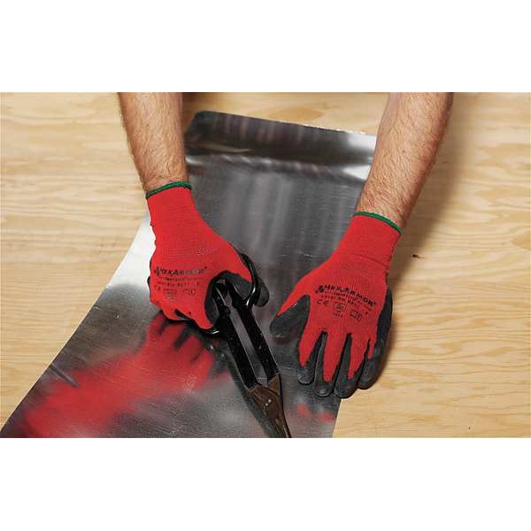 Cut Resistant Coated Gloves, A7 Cut Level, Natural Rubber Latex, L, 1 PR