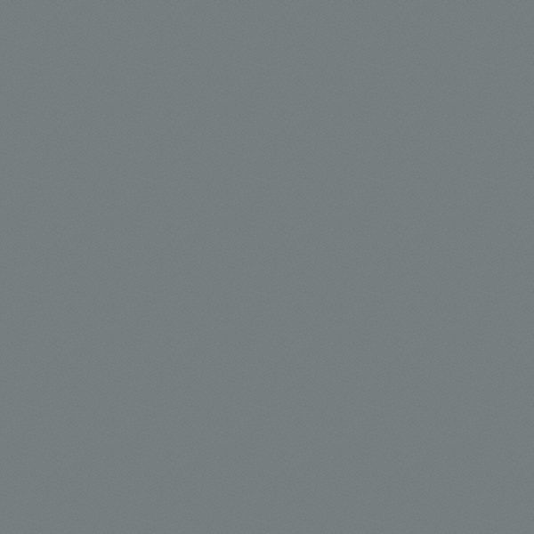 Spray Paint, ANSI 49 Medium Light Gray, Gloss, 12 oz.