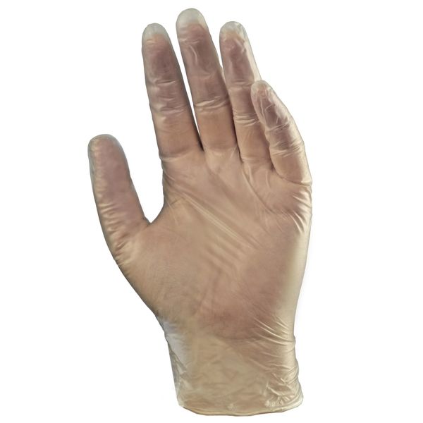 Vinyl Disposable Gloves, PVC, Powder Free, Clear, L, 100 PK