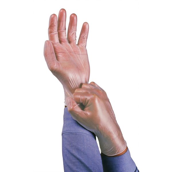 Vinyl Disposable Gloves, PVC, Powder Free, Clear, L, 100 PK