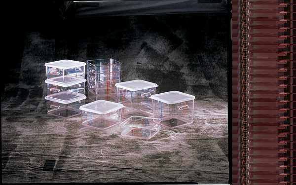Square Storage Container, 8 qt, Clear