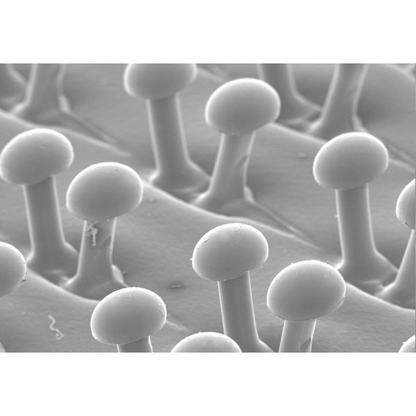 Hook-and-Loop Disc BU Pad, 6D