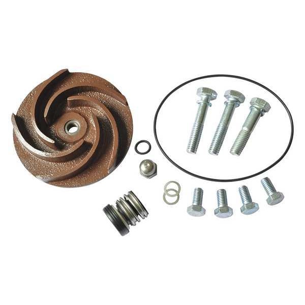Pump Repair Kit, For 2ZWP9A, 2ZWR1A