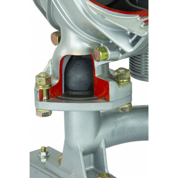 Double Diaphragm Pump, Cast iron, Air Operated, Santoprene, 164 GPM