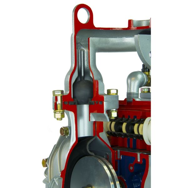 Double Diaphragm Pump, Cast iron, Air Operated, Santoprene, 164 GPM