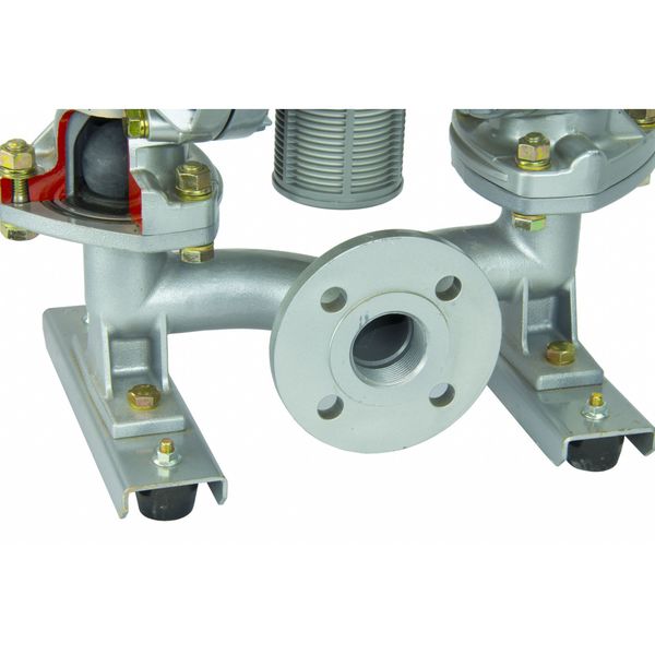 Double Diaphragm Pump, Cast iron, Air Operated, Santoprene, 164 GPM