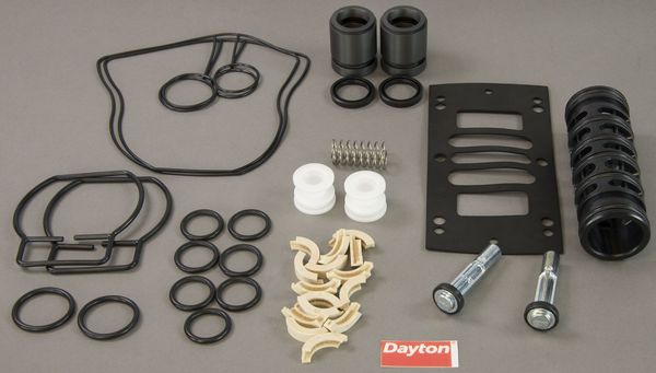Pump Repair Kit, Buna N, Air, 1 In.