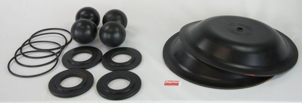 Pump Repair Kit, Buna N, Fluid, 1 In.