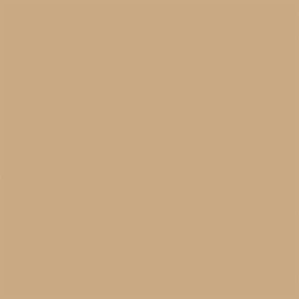 Interior/Exterior Paint, High Gloss, Oil Base, Dunes Tan, 1 gal