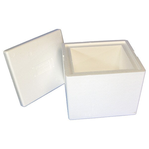 Insulated Shipping Bio Foam & Carton, 1-5 Day