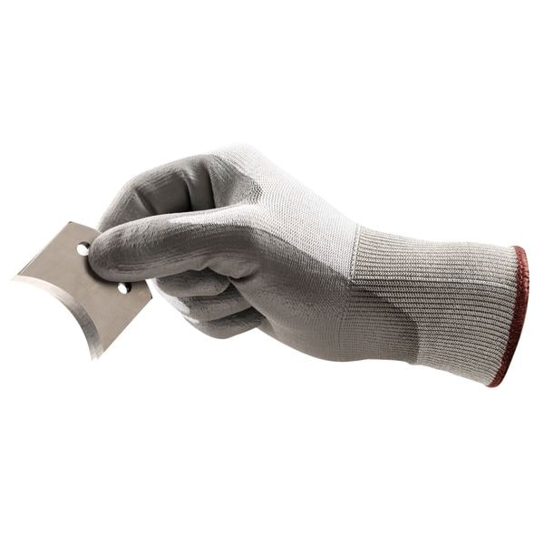 Cut Resistant Coated Gloves, A2 Cut Level, Polyurethane, 3XL, 1 PR