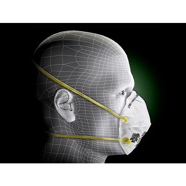 N95 Disposable Respirator, 8210, Dual Headstrap, Particulate Respirator, Nose Clip, Pack of 20