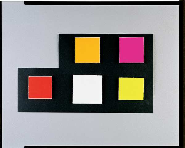 Safety Label Dispenser, Plastic, Clear, Win