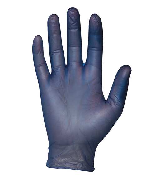 Disposable Gloves, Vinyl, Powder Free, Blue, L, 100 PK
