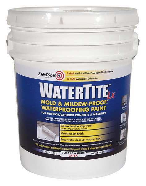 Mold and Mildew Paint, 5 gal., White